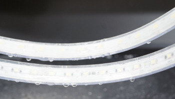 x-Glo-L-30-36vDC