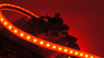 x-Glo-Exm-88-36v-AC-A