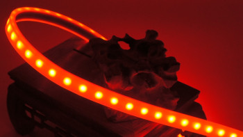 x-Glo-Exm-42-24v-AC-A